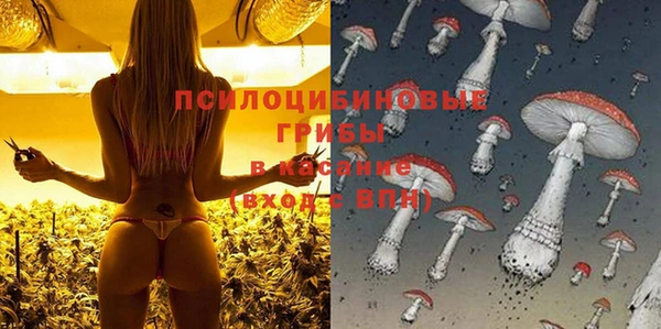 бутират Арсеньев