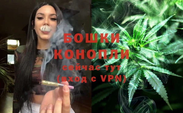 бутират Арсеньев