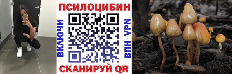 Псилоцибиновые грибы Magic Shrooms Острогожск