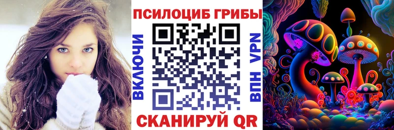 Псилоцибиновые грибы Psilocybe  Купить закладки  Острогожск 